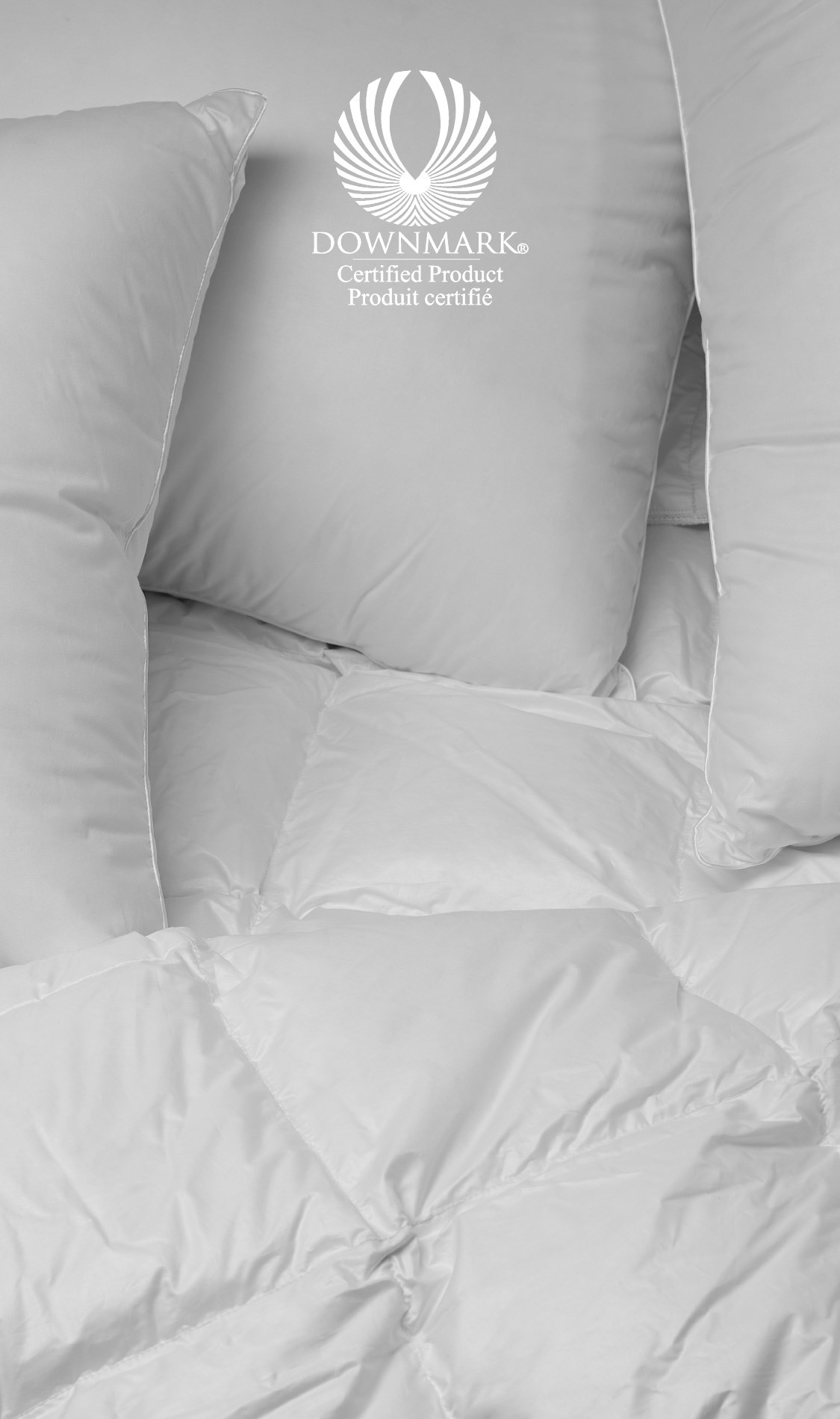 Down Comforters and Pillows
