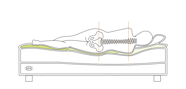 Illustration of a body lying on a DUX bed showing straight spinal alignment