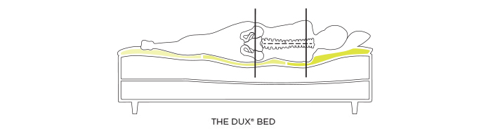 Graphic of The DUX bed